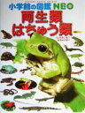 【中古】 両生類 はちゅう類 小学館の図鑑NEO6／松井正文,疋田努,太田英利,松橋利光,前田憲男,関慎太郎