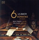 【中古】 バッハ:6つのソナタ BWV 525−530 リコーダーとチェンバロによる/根岸基夫 鈴木理賀(rec/cemb)