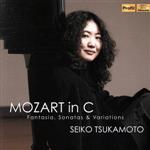 塚本聖子販売会社/発売会社：インディペンデント・レーベル(インディペンデント・レーベル)発売年月日：2013/05/29JAN：4909346006669