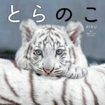【中古】 写真集　とらのこ／RIKU(著者)