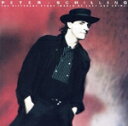 【中古】 【輸入盤】Different Story/PeterSchilling