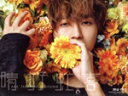 【中古】 AAA 15th Anniversary Book 晴好虹喜 ‐thanx AAA lot‐(メンバー別ソロカバー西島隆弘 ver.)/AAA(著者)