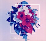 ֥å ŷԾŹ㤨֡š ͢סBoracayPlanet֥åСɡ֥åСɡפβǤʤ871ߤˤʤޤ