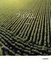 【中古】 フォト&エッセイ集 プリズム/小山則幸(著者)