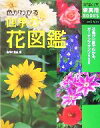  色がわかる四季の花図鑑 花色が一目でわかる、ガーデンプランツ500 主婦の友新実用BOOKS／主婦の友社(編者)