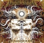 【中古】 【輸入盤】Examination　of　Being／Order　of　Ennead