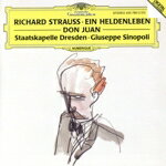 R．Strauss（アーティスト）,Sinopoli（アーティスト）,StaatskapelleDresden（アーティスト）販売会社/発売会社：PolygramRecords発売年月日：1993/04/13JAN：0028943579025