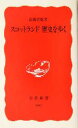  スコットランド　歴史を歩く 岩波新書／高橋哲雄(著者)