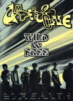  WILD　＆　FREE（Start　ver．）／AMPERS＆ONE