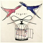 【中古】 手紙～愛するあなたへ～／藤田麻衣子