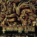 【中古】 【輸入盤】Gallop Meets the Earth （W／Dvd）／プロテスト ザ ヒーロー