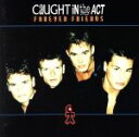 【中古】 【輸入盤】Forever Friends/CaughtInTheActアーニー・ディフランコ