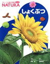 【中古】 しょくぶつ フレーベル館の図鑑ナチュラ2／無藤隆,高橋秀男