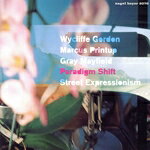 【中古】 【輸入盤】STREET EXPRESSIONISM／ParadigmShift