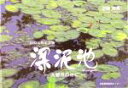 【中古】 国の天然記念物 深泥池 大都市の中に/近藤博保(著者)