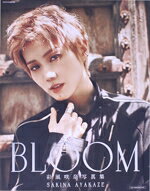 彩風咲奈写真集「BLOOM」 （タカラヅカMOOK）