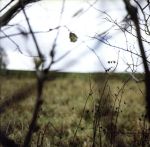 Hood販売会社/発売会社：Domino発売年月日：2006/06/20JAN：5034202006121