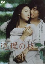 【中古】 連理の枝 スタンダード版/キム・ソンジュン(監督),チェ・ジウ,チョ・ハンソン,チェ・ソングク