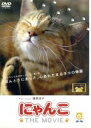 【中古】 にゃんこ THE MOVIE/(オムニバス映画),篠原涼子(ナレーション)