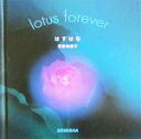 yÁz ͂͂ lotus@forever^͌nq()