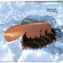 【中古】 【輸入盤】Niun Niggung/マウス・オン・マーズ