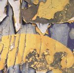 ֥å ŷԾŹ㤨֡š ͢סElectricBallroomThomasSchumacherʥƥȡˡפβǤʤ198ߤˤʤޤ