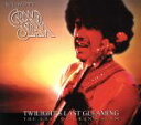 【中古】 【輸入盤】Twilight’s Last Gleaming/PhilLynott