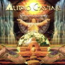 【中古】 【輸入盤】Transoceanic/AudioCaviar