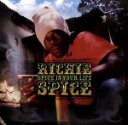 【中古】 【輸入盤】Spice in Your Life/リッチー・スパイス
