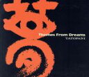 ThemesFromDreams（アーティスト）販売会社/発売会社：CDBaby発売年月日：2005/10/27JAN：0794055003924