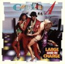 【中古】 【輸入盤】Large & In Charge/ChunkyA