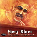 【中古】 【輸入盤】Fiery Blues(Tony Monaco/Summit)/TonyMonaco