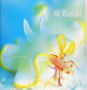 【中古】 球美の海 ベジタブルフィールドの住人たち 川本剛志写真集/川本剛志(著者)