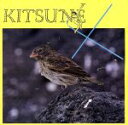 【中古】 【輸入盤】Kitsune ’x’/(オムニバス)