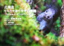 【中古】 北海道 リスとナキウサギの季節 写真集 佐野高太郎の視点2/佐野高太郎(著者),佐野彰則(訳者)