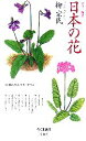 【中古】 日本の花 ちくま新書/柳宗民(著者)