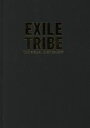 【中古】 写真集 EXILE TRIBE THE VISUAL DICTIONARY 初回限定版/EXILETRIBE