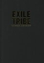 【中古】 写真集 EXILE TRIBE THE VISUAL DICTIONARY 初回限定版／EXILETRIBE