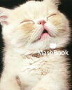 【中古】 MashBook/岡野瑞恵(著者)