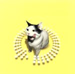 （オムニバス）販売会社/発売会社：Mca発売年月日：1998/01/13JAN：0008811160425