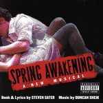 【中古】 【輸入盤】Spring Awakening： A New Musical／ダンカン シーク