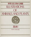 【中古】 世界文化生物大図鑑(4) 昆虫I チョウ・バッタ・トンボなど/サイエンス