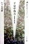 【中古】 平泉中尊寺 金色堂と経の世界 歴史文化ライブラリー59/佐々木邦世(著者) 968円