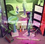 【中古】 WORD　IN　THE　PETALS／CHERRYBOY　FUNCTION