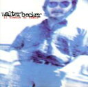 【中古】 【輸入盤】Eleven Tracks of Whack /WalterBecker 【中古】afb - ブックオフオンライン楽天市場店