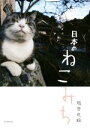 【中古】 日本のねこみち/岩合光昭(著者)