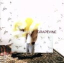  BABEL，BABEL（初回限定盤）（DVD付）／GRAPEVINE