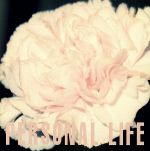 【中古】 PERSONAL　LIFE／CTLYA