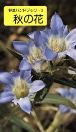 【中古】 秋の花 野草ハンドブック3／冨成忠夫(著者)