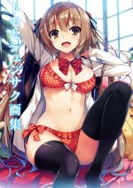 【中古】 トモセシュンサク画集／トモセシュンサク(著者)